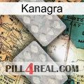 Kanagra 17